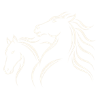 Jerez Ciudad del Caballo